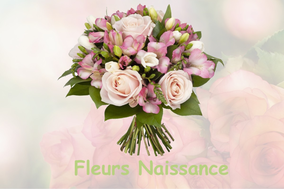 fleurs naissance SOREL-MOUSSEL