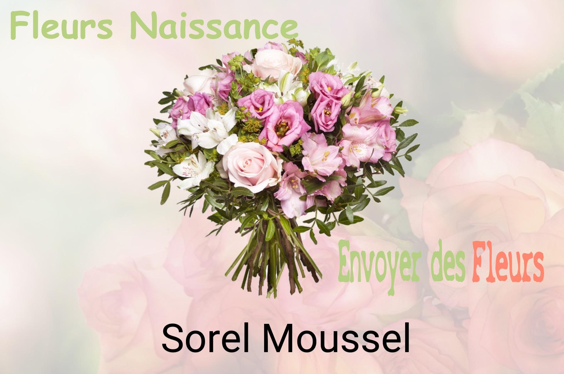 Bouquet de fleurs de naissance livré à Sorel-Moussel
