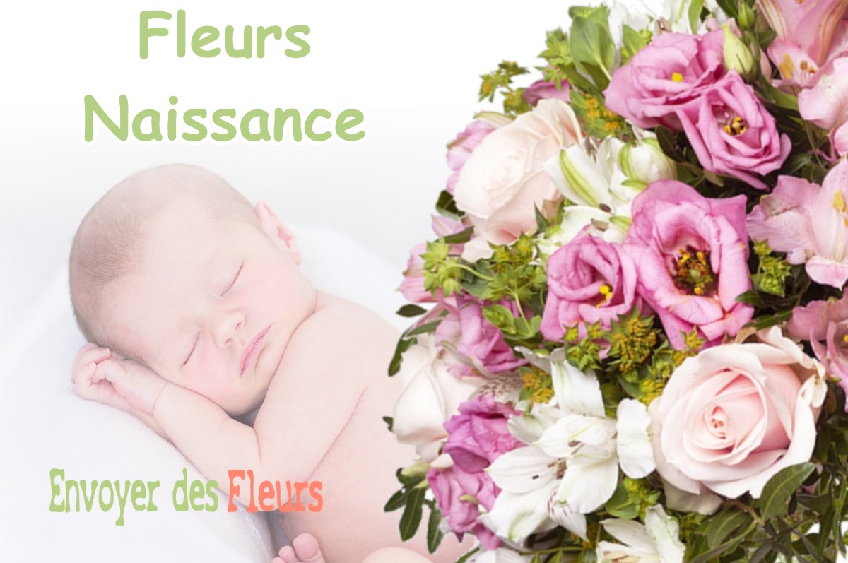 lIVRAISON FLEURS NAISSANCE à SOREL-MOUSSEL